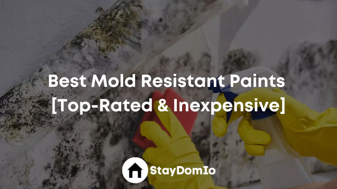 Best Mold Resistant Paints Review