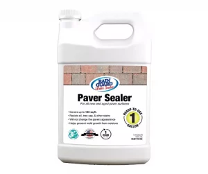 Rain Guard Water Sealers SP-5005 Paver Sealer Review