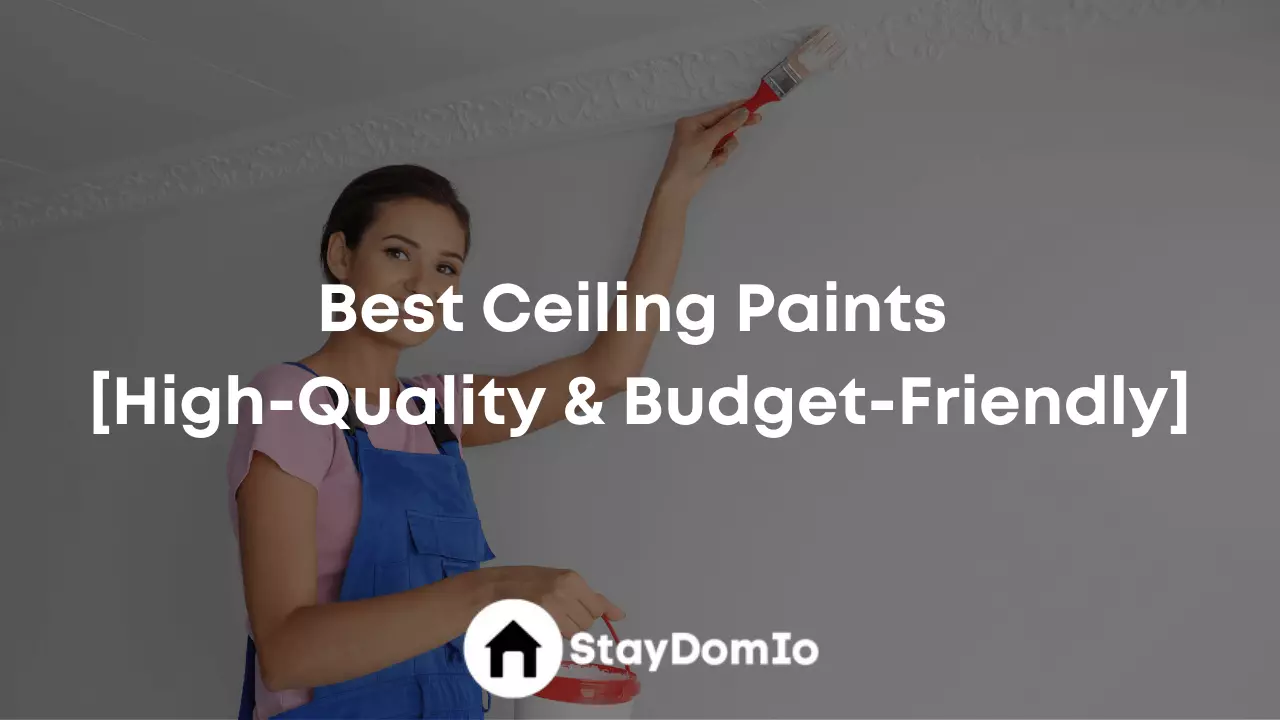 Best Ceiling Paints Reviews