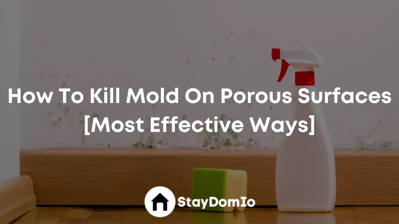 How To Kill Mold On Porous Surfaces [Most Effective Ways]