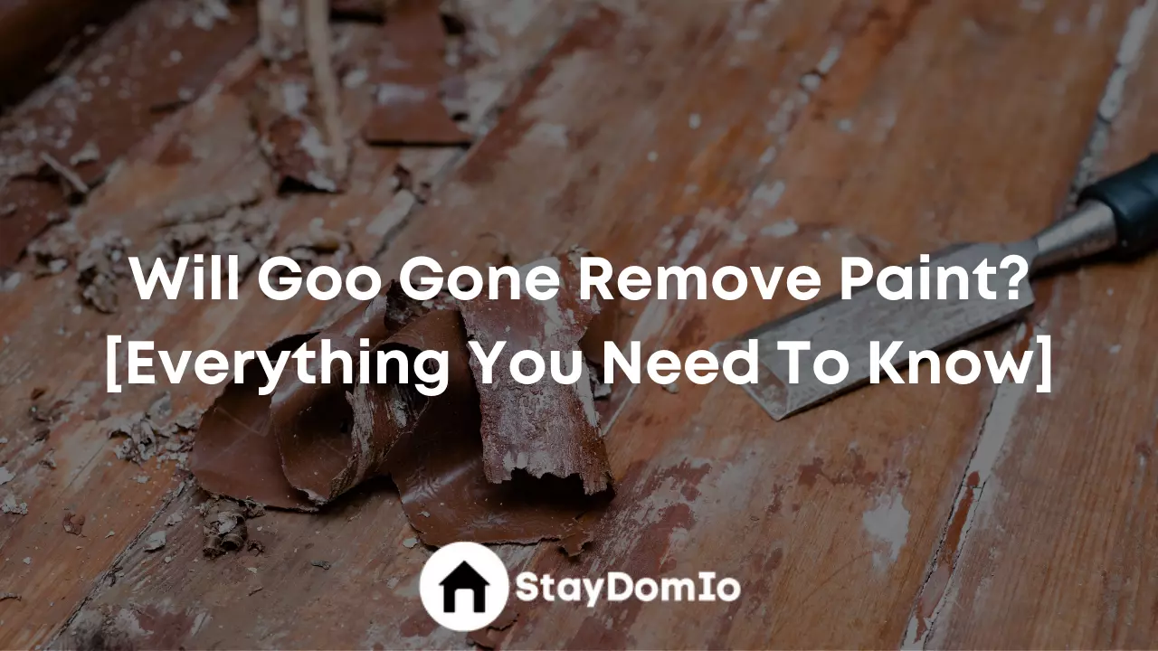Will Goo Gone Remove Paint? [Everything You Need To Know]