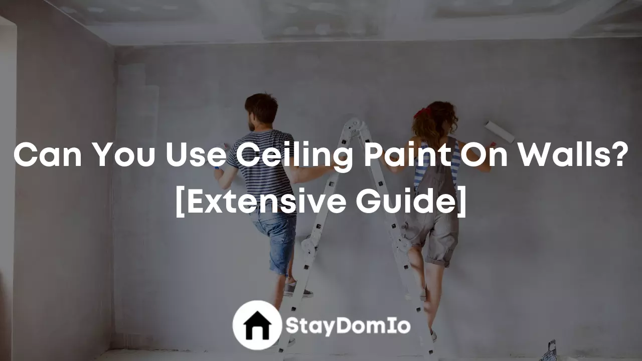 Can You Use Ceiling Paint On Walls? [Extensive Guide]