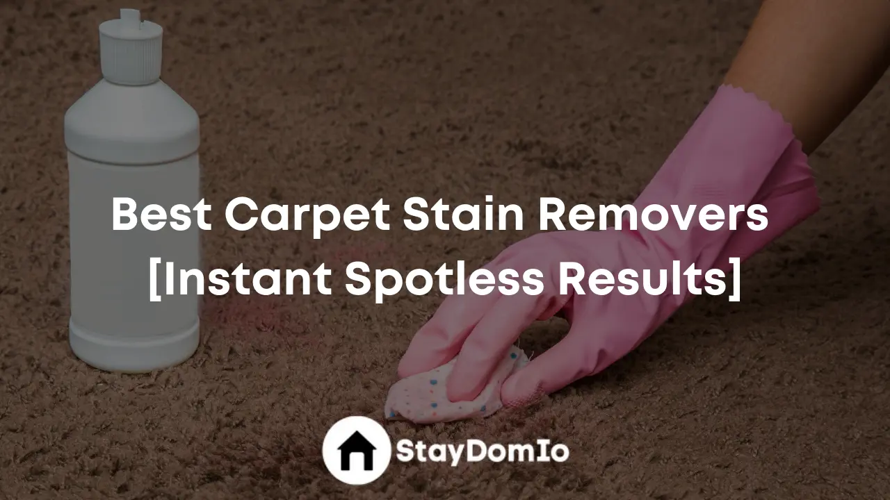Best Carpet Stain Removers [Instant Spotless Results]