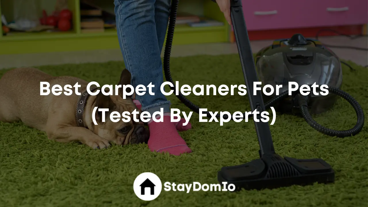 Best Carpet Cleaners For Pets (Tested By Experts)