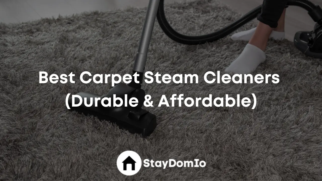Best Carpet Steam Cleaners (Durable & Affordable)