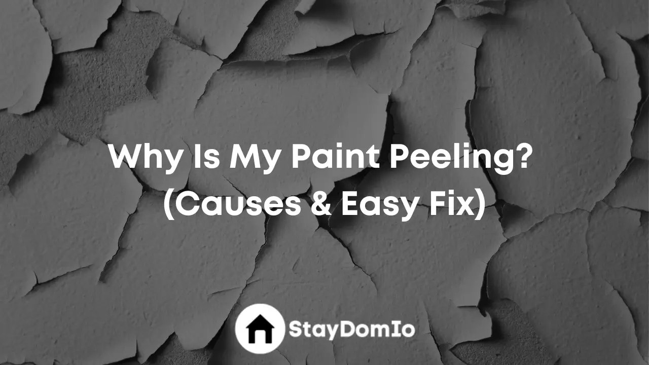 Why Is My Paint Peeling? (Causes & Easy Fix)